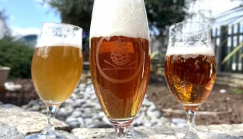 Brasserie des pins - 33650 Cabanac-Et-Villagrains