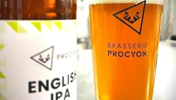 Brasserie Procyon - Bazas