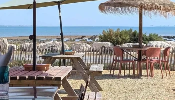 Cabane dégustation L'huître Zely Haye « Chez ziquette » - 17630 La Flotte