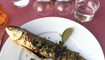 Chez les Pêchous Dégustation & Vente de poisson du bassin - Andernos-Les-Bains