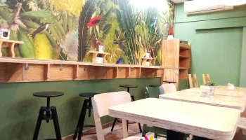 GreenKafe Dax - 40100 Dax