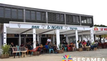 L'agave - Biscarrosse