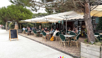 L Ajonciere - 33680 Le Porge