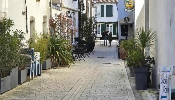 Le Coq Hardi - Le Pub des 5 - Bar à Bières - 17630 La Flotte