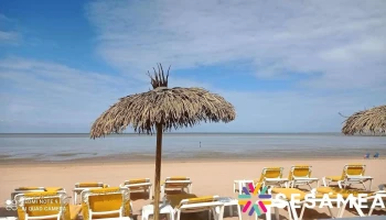 Les Pieds dans le Sable - 17340 Châtelaillon-Plage