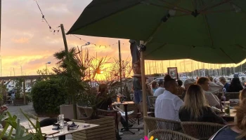 Monkey Mood - Quai De La Pêcherie B