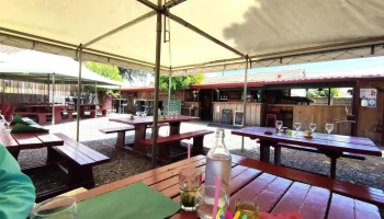 Restaurant Camette - 40600 Biscarrosse