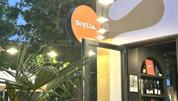 Scylla - 40150 Soorts-Hossegor