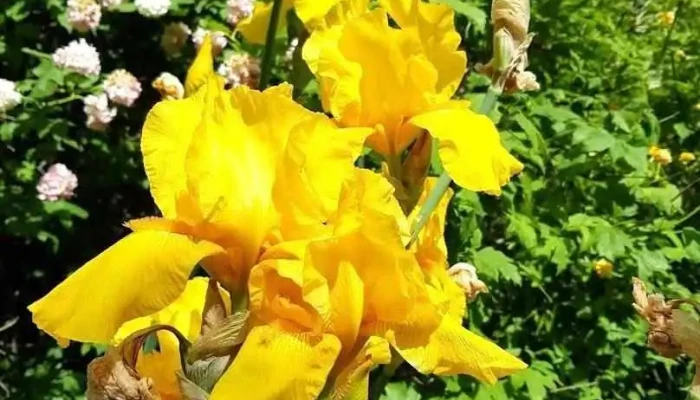 Ansamble - Blanquefort