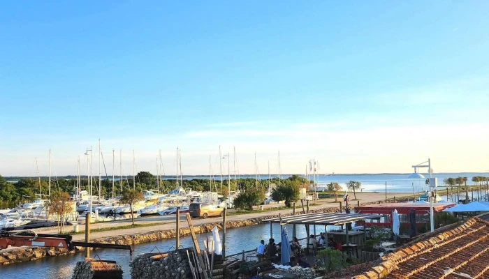 Bernard Bergez Cabane 8 Port D Audenge -  Promotion - Audenge