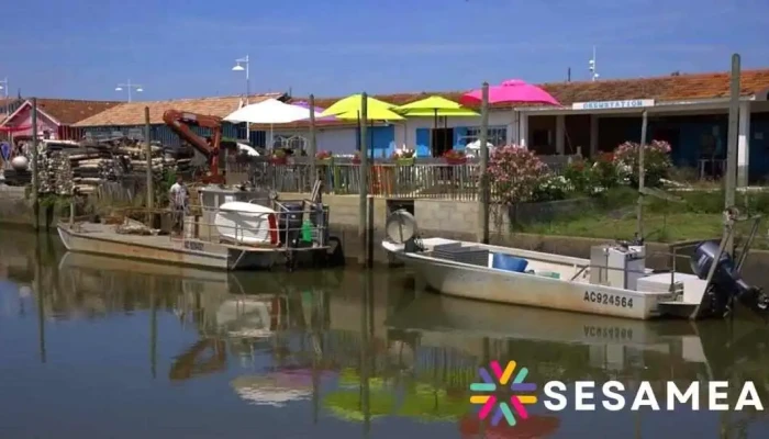Bernard Bergez Cabane 8 Port D Audenge -  Tout - Audenge