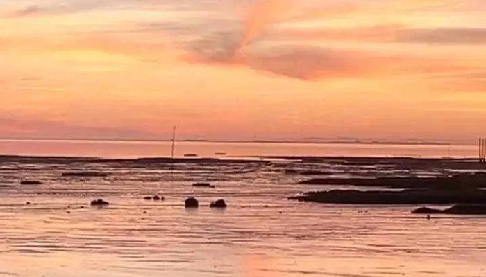 Chez Eliette -  Videos - Andernos-les-bains