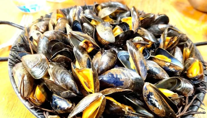 Chez Remi   Restaurant Moule - Ars-en-ré