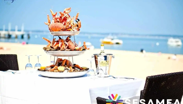 Diego - Arcachon - Arcachon