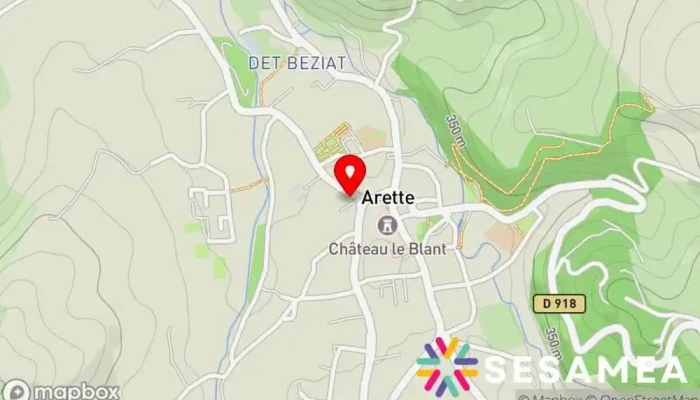 Hotel De Lours Carte - Arette