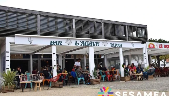 L'agave - Biscarrosse