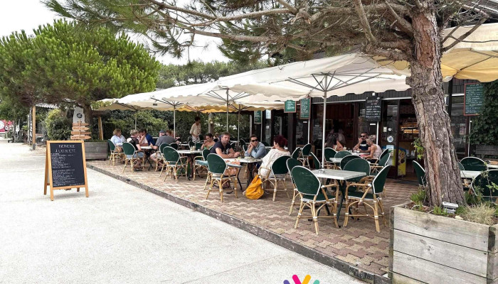 L Ajonciere - 33680 Le Porge