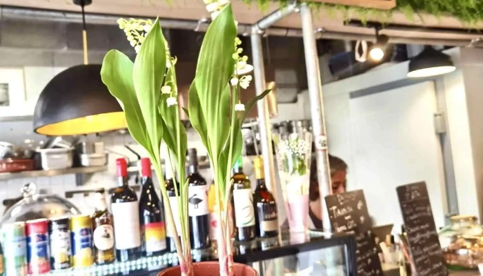 La Botte Gaia -  Photos Du Proprietaire - Anglet