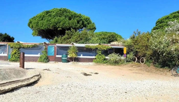 La Cabane De La Patache -  Restaurant Francais - Les Portes-en-ré