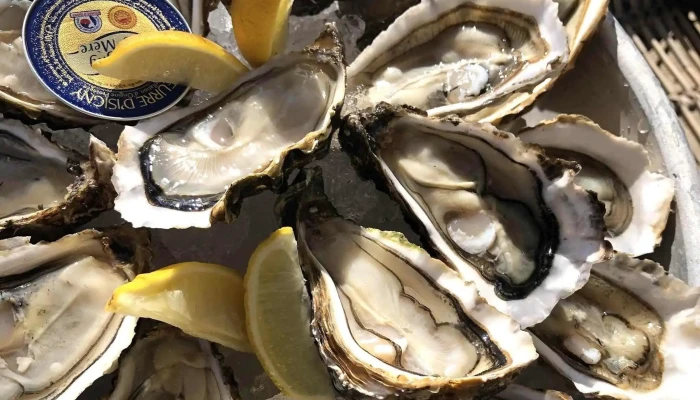 La Cahute Dégustation - Andernos-Les-Bains