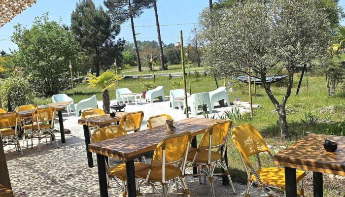 Le Calyptus - 33680 Le Porge