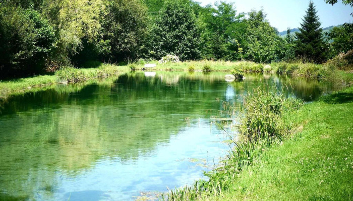 Le Foehn Auberge Pisciculture -  Opinions - Arette