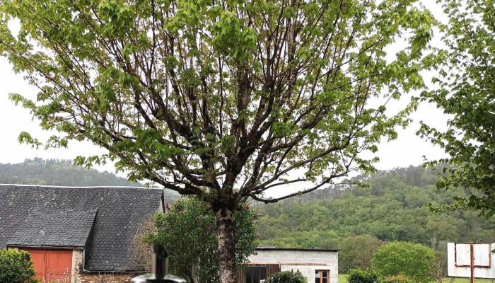 Le Relais Du Doustre -  Argentat Sur Dordogne - Argentat-sur-dordogne