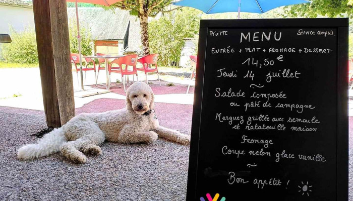 Le Relais Du Doustre -  Photos Du Proprietaire - Argentat-sur-dordogne