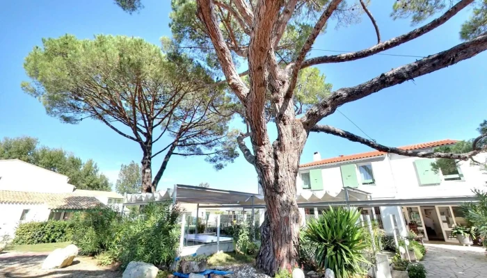 Logis Hotel Le Parasol Street View Et 360deg - Ars-en-ré