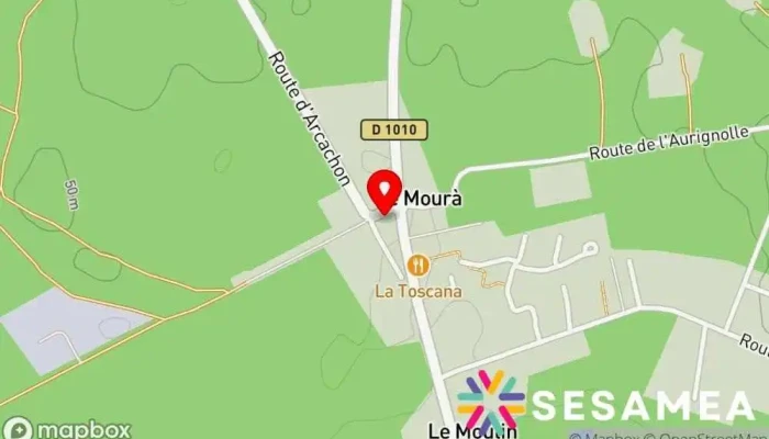 Restaurant La Cabane -  Carte - Belin-béliet