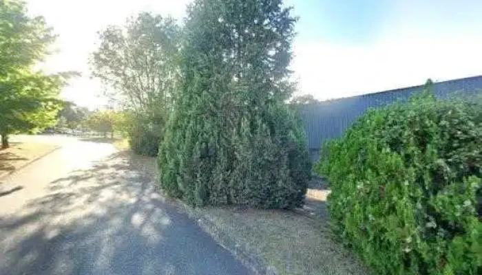 Taste Buffet Street View Et 360deg - Saint-pierre-du-mont